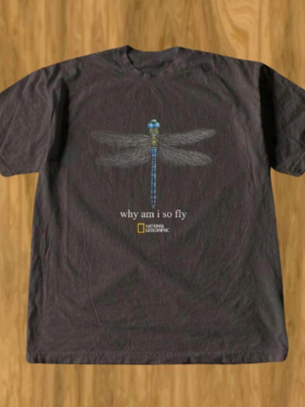 National Geographic Dragonfly T-Shirt Brown Why Am I So Fly Graphic